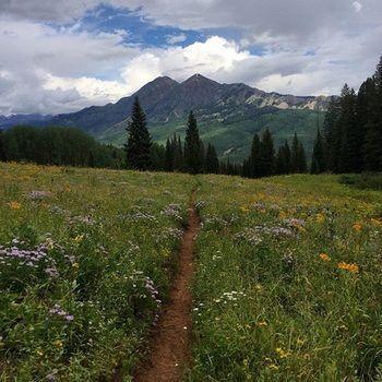 San Moritz Condominiums Mount Crested Butte Bagian luar foto
